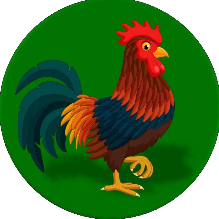 462681382_1673940826506990_363818987032989574_n